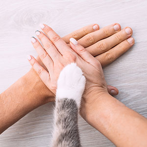 Pet drop-off service at veterinary clinic, staff assisting pet owner with check-in
