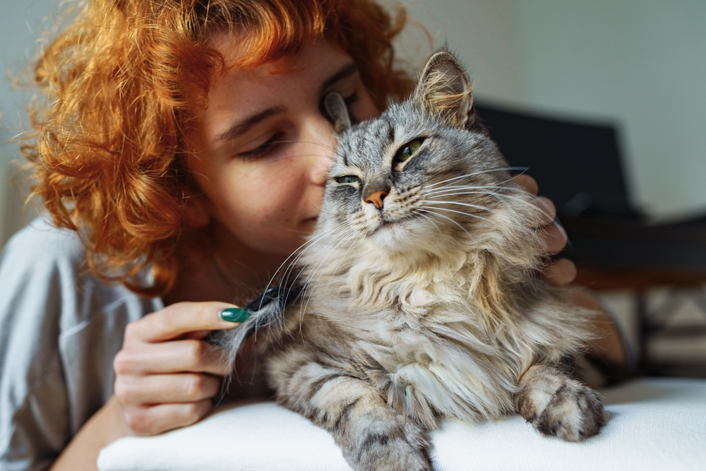 Teenage girl lovingly caring for a fluffy long-haired domestic cat at home